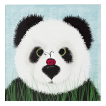 Adorable Ours De Panda