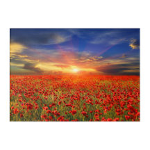 Coucher de soleil doré contre ciel bleu coquelicot