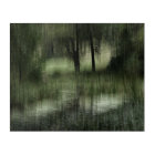 La photo nature Abstraite du printemps