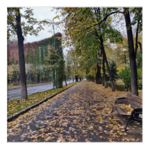Promenade d'automne à Bucarest