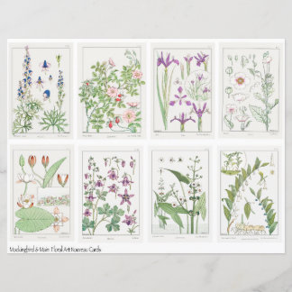 Art Nouveau Flowers Collage Sheet Verneuil