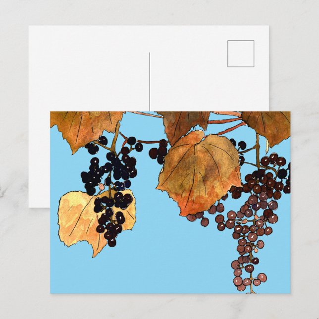 Art Nouveau Frost Grapes Postcard (Front/Back)