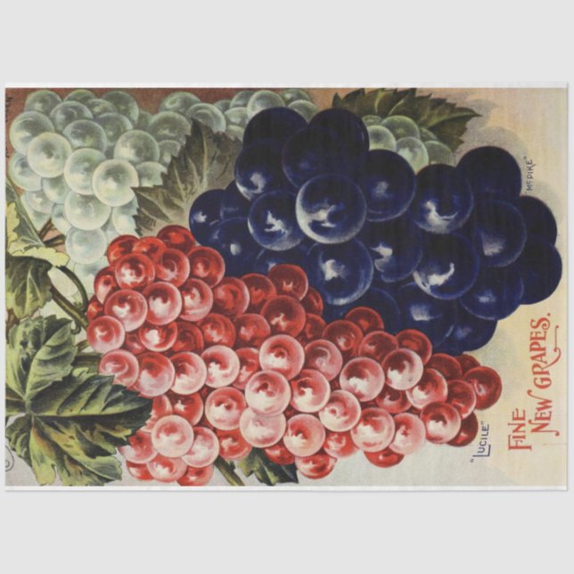 Art Nouveau Poster 25 Grape Decoupage Tissue Paper (Front)