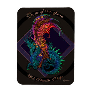 Art Nouveau Style Dragon with Latin Motto Magnet