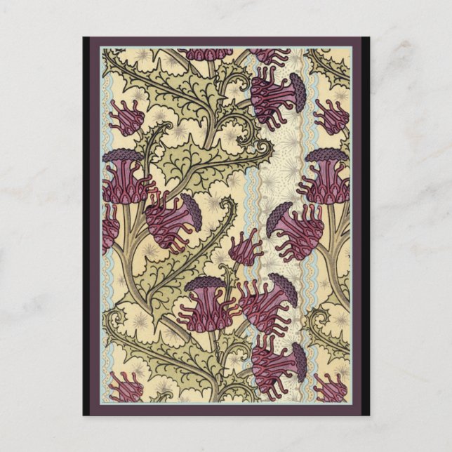 Art Nouveau Thistle flower Postcard (Front)