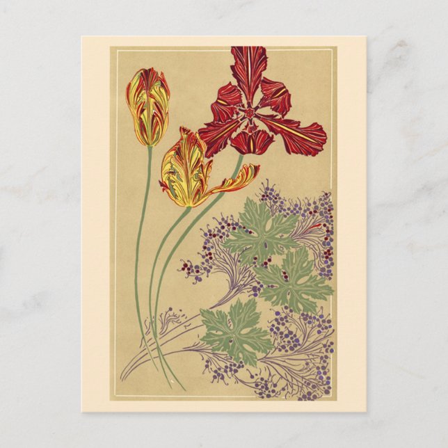 Art Nouveau Tulips Postcard (Front)