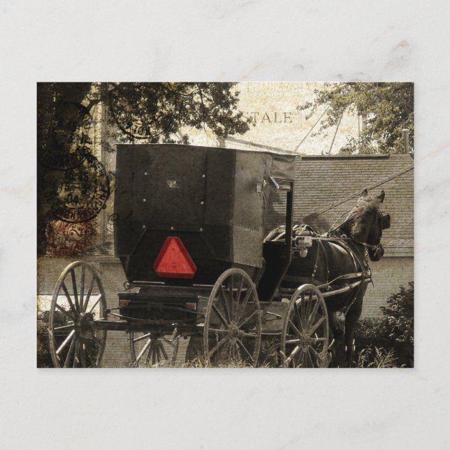 Art numérique de carte postale Amish Horse et Bugg (Devant)