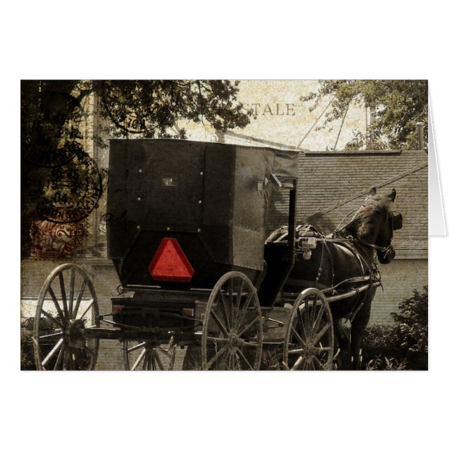 Art numérique de carte postale Amish Horse et Bugg (Devant horizontal)