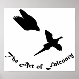 Art of Falconry- Peregrine Falcon Poster