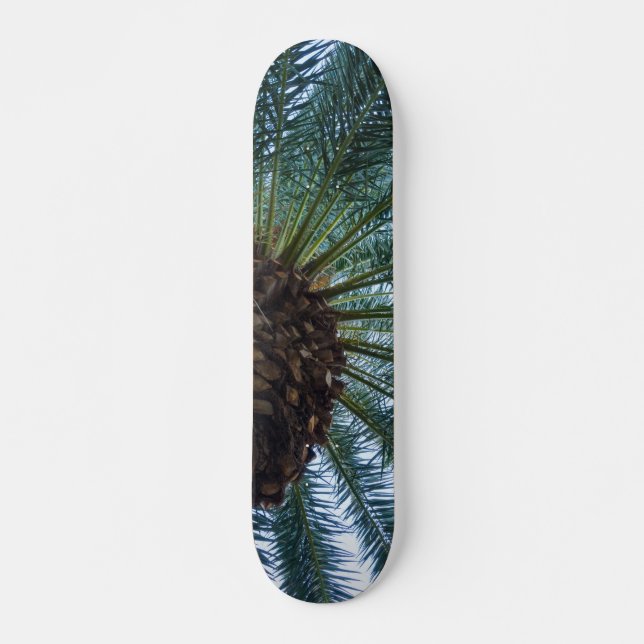 Art Of The Palm Tree Skateboard (Front)