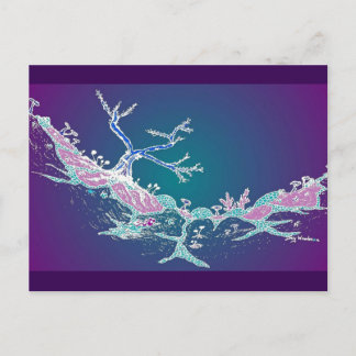 Art Postcard 10: Magic Valley Midnight Luminous