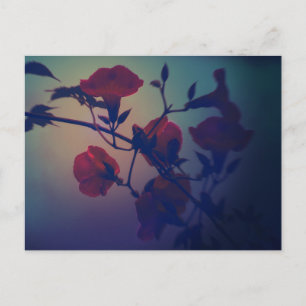 Art Postcard ”Cinematic & Noir”