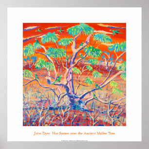 Art Poster: Banrock Station Sunset Mallee Tree Poster