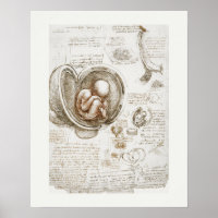 ART POSTER : LEONARDO DA VINCI : ÉTUDE 1510 - 1513