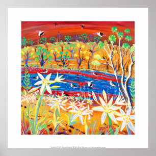 Art Print: Banrock Station Pelicans and Lilies Poster