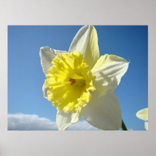 ART PRINTS Yellow Daffodil Flowers Canvas Artwork