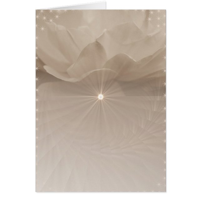 Art Rose Sepia (Devant)