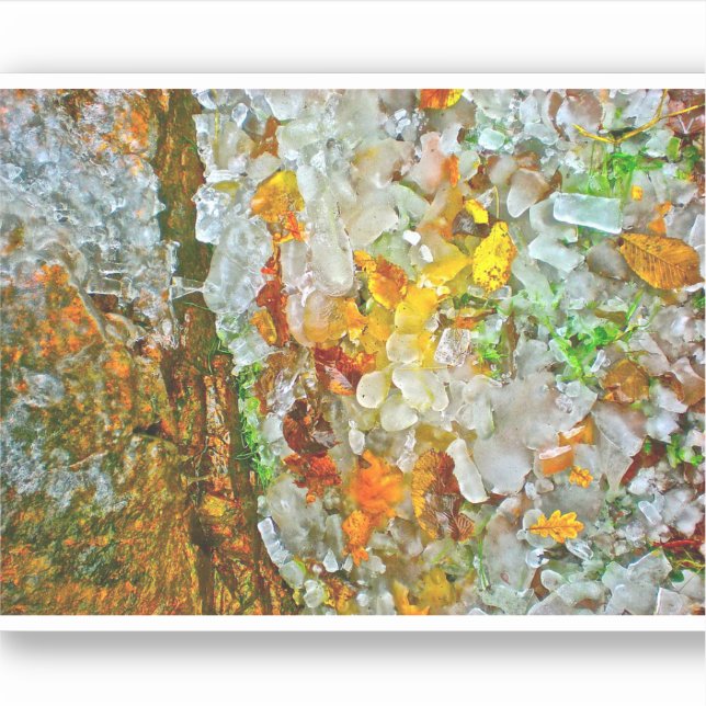 Art Sticker par nature (Devant)