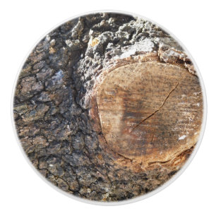 ART STYLE DESIGN FOR ceramic extraction Knob