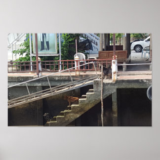 Art Through Lens Poster