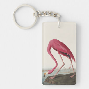 Art vintage d'Audubon représentant un flamant rose