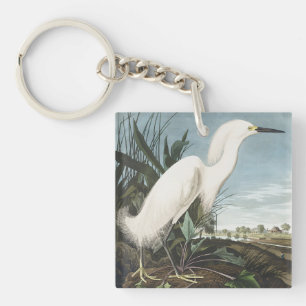 Art vintage d'Audubon représentant un héron neigeu