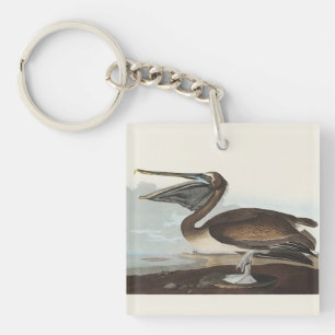 Art Vintage d'Oiseau Marin de Rivage Pélican Brun