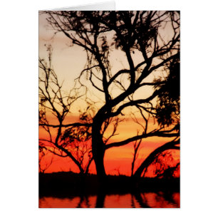 Art Vivant : Carte Silhouette Sunset Nature
