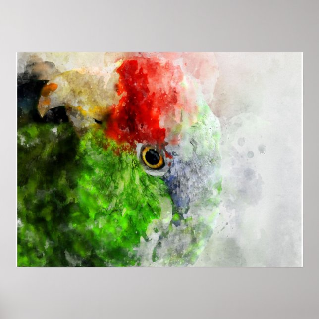 Art Watercolor Parrot Green Parakeet Gift Poster (Front)