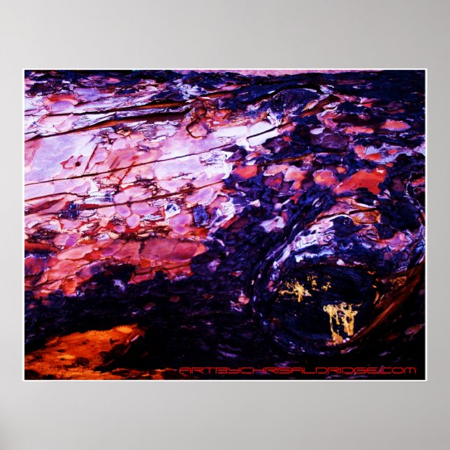 ARTBYCHRISALDRIDGE.COM affiche #1 (Devant)