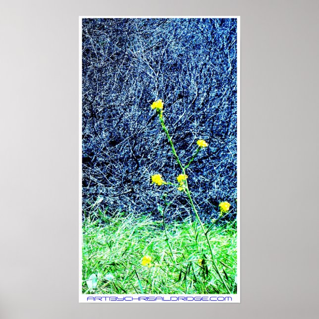 ARTBYCHRISALDRIDGE.COM poster #2 (Front)