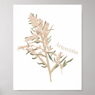 Artemisia Poster