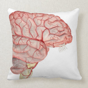 Arteries of the Brain Throw Pillow