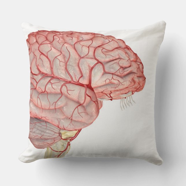 Arteries of the Brain Throw Pillow (Front)