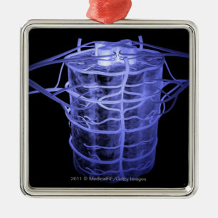 Arteries surrounding part of the spinal column metal ornament