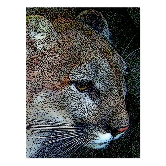 Artful Nature Cougar Postcard