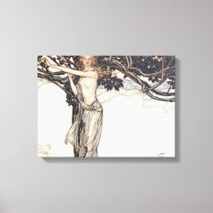 Arthur Rackham Freya The Fair One Canvas Print
