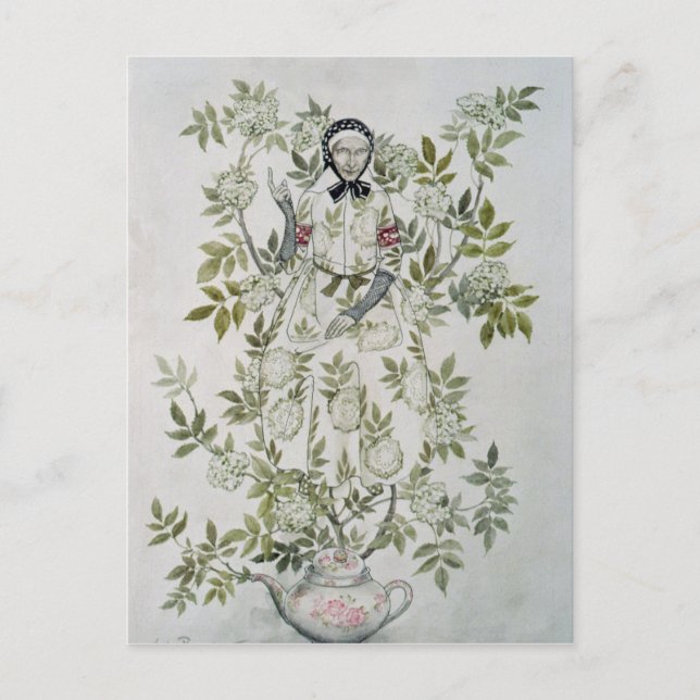 Arthur Rackham | In the Midst of a Tree sat a Kind Postcard (Front)