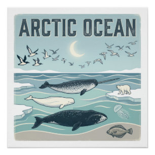 Artic Ocean Poster