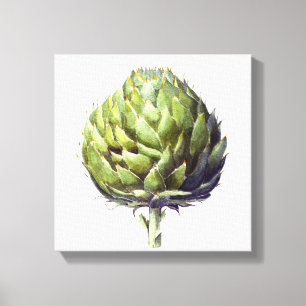 Artichoke botanical watercolour canvas print