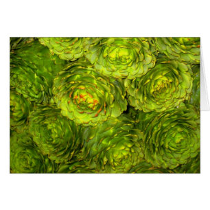 Artichoke Boutique