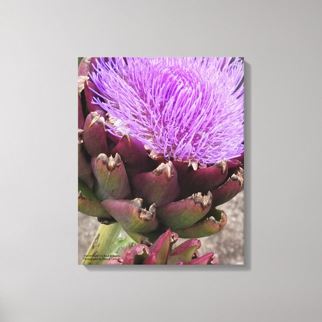Artichoke - Colorado Star Canvas Print (Front)