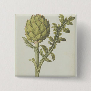 Artichoke: Cynara scolymus, c.1568 2 Inch Square Button
