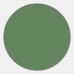 Artichoke green (solid colour)  classic round sticker