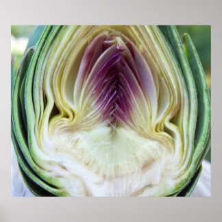Artichoke Heart Canvas Print