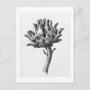 Artichoke II by Jean Bernard (1775-1883). Postcard