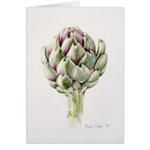 Artichoke Study 1993
