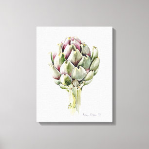 Artichoke Study 1993 Canvas Print