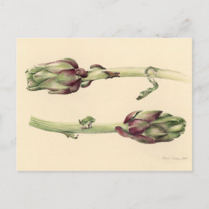 Artichokes 2005 postcard