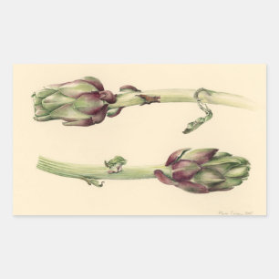 Artichokes 2005 sticker
